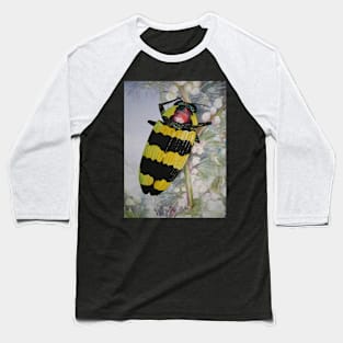 Jewel Beetle Watercolour Painting Baseball T-Shirt